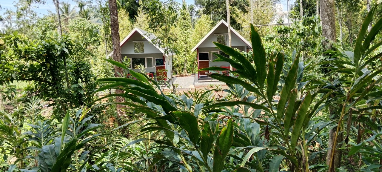 Cardamom Honeymoon Cottage